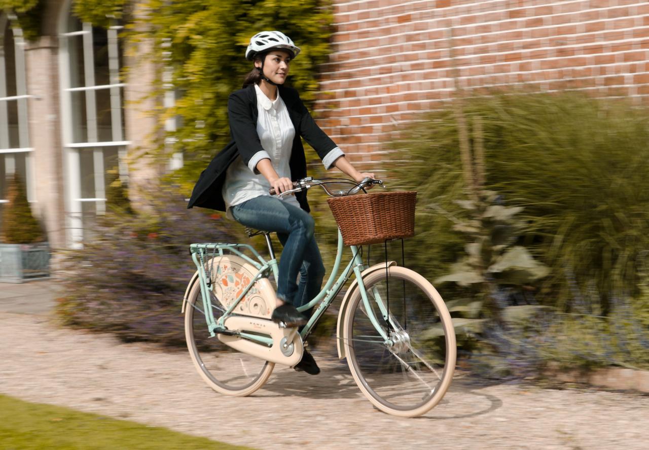 Dawes store dutch bike